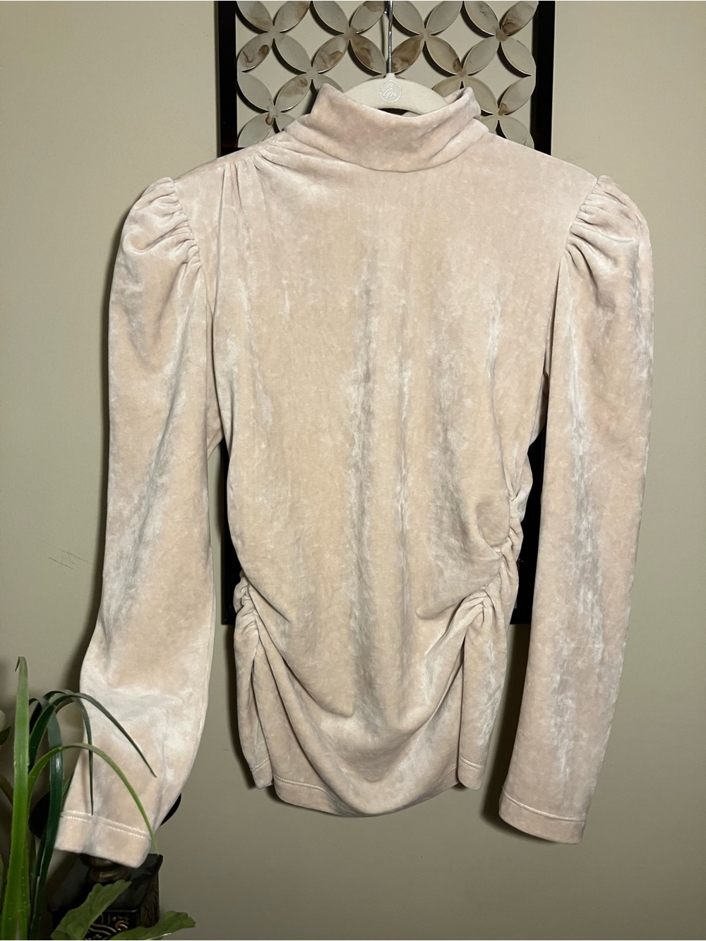 Lavender Brown Cream Velvet Mock Neck Ruched Long Sleeve Top